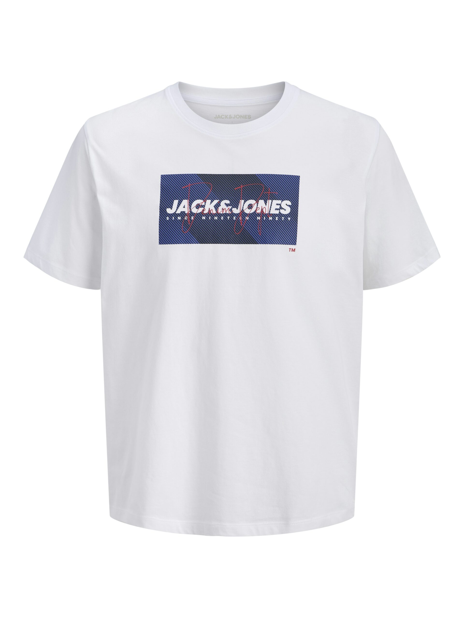 JJCOLE PRINT TEE SS CREW NECK LN