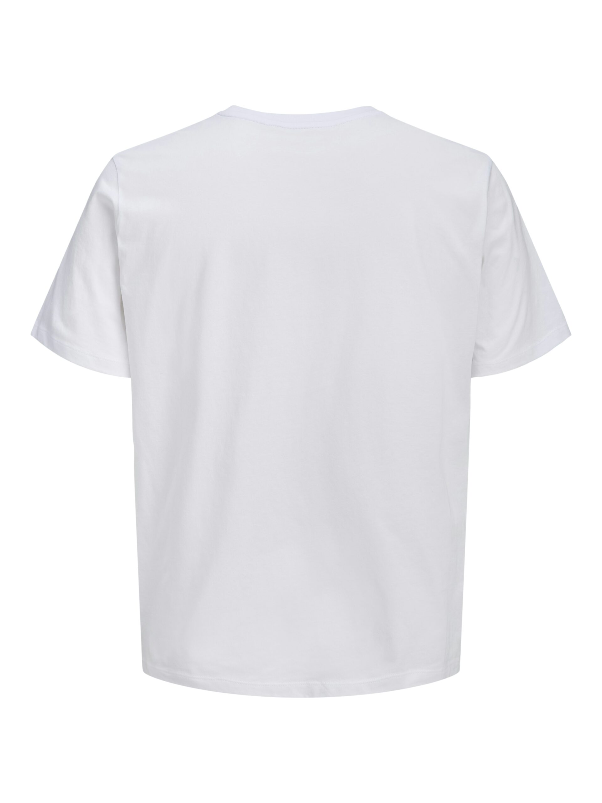 JJCOLE PRINT TEE SS CREW NECK LN – Bild 3
