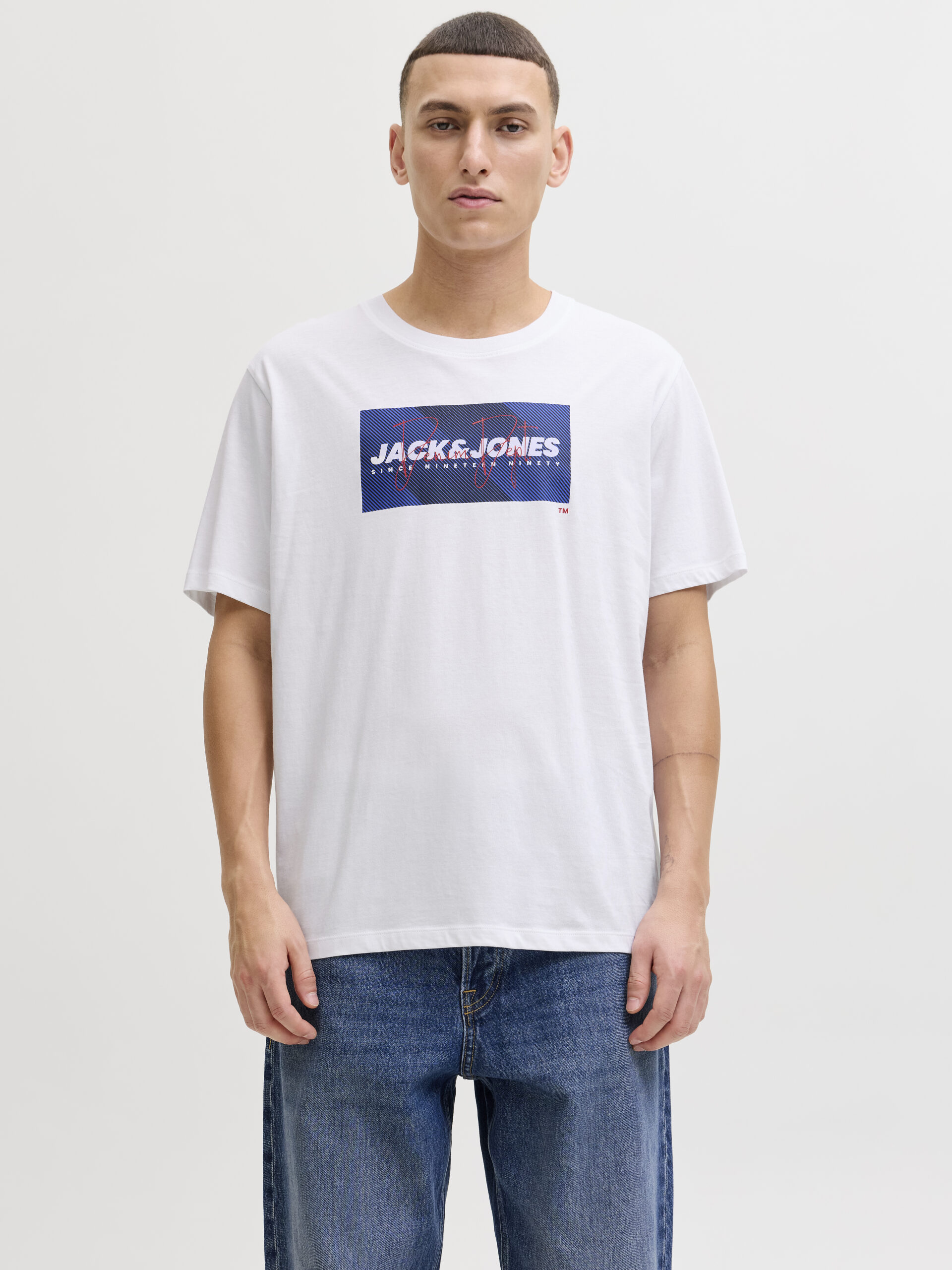 JJCOLE PRINT TEE SS CREW NECK LN – Bild 2