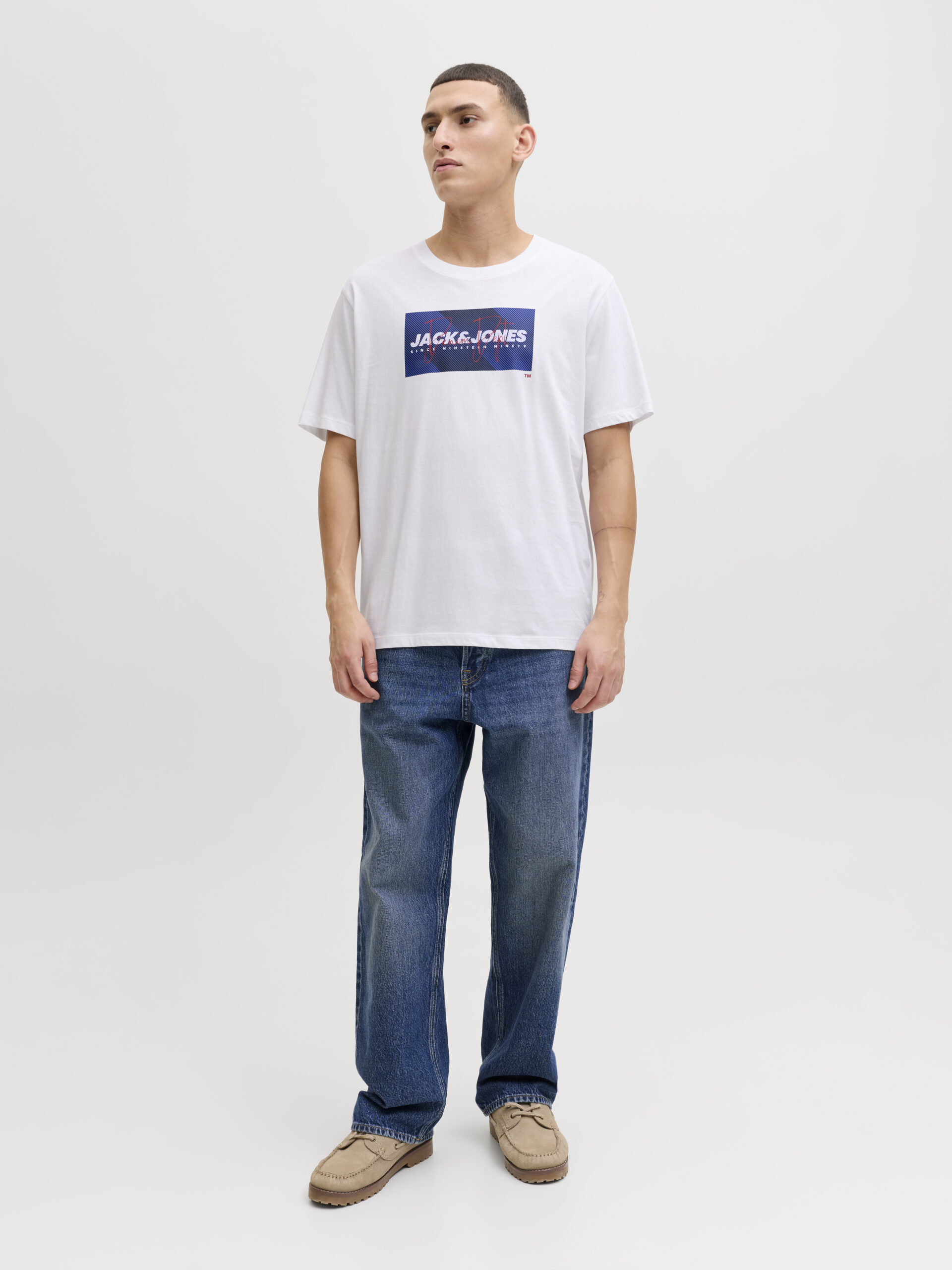 JJCOLE PRINT TEE SS CREW NECK LN – Bild 5