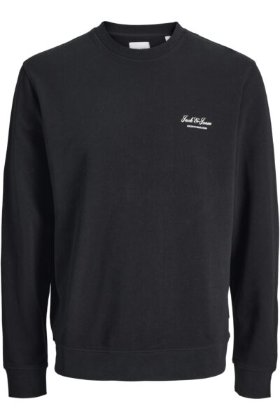 JJEARCHIVE GRAPHIC SWEAT CREW NECK NOOS